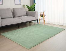 Load image into Gallery viewer, CR Rug Romal Sage 160X230CM - 985401