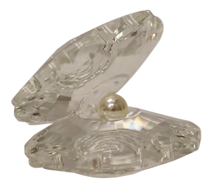 Clam Shell with Pearl Large 6X8CM - 025029