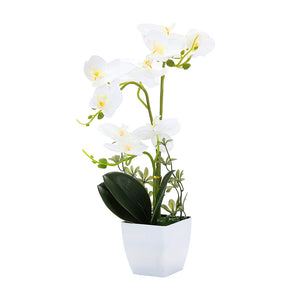 Orchid Single White 38CM - 056653