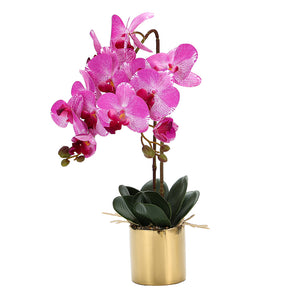 Orchid Multi Pink 47CM - 056654