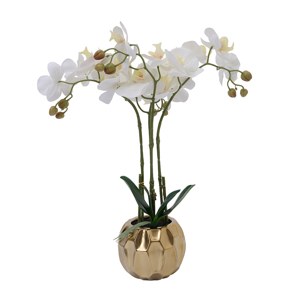 Potted Orchid White 45CM - 056664