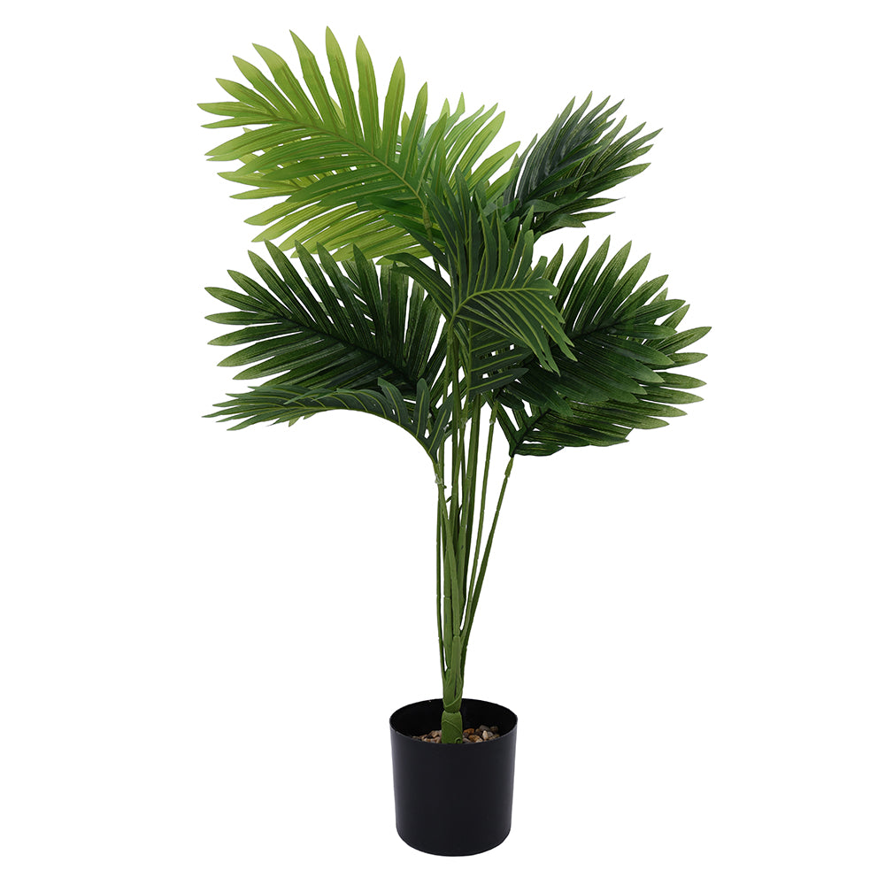 Potted Plant Palm Areca 67CM - 056672