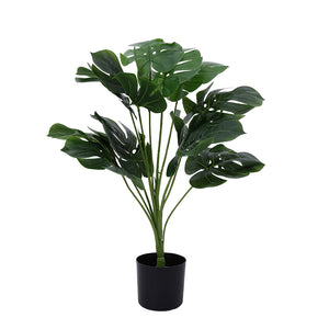 Potted Plant Monstera 60CM - 056673