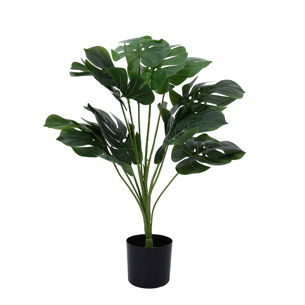 Potted Plant Monstera 60CM - 056673