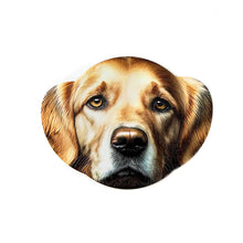 Load image into Gallery viewer, Coaster Dogs 12 Assorted 10X13CM - 618105
