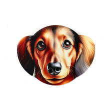 Load image into Gallery viewer, Coaster Dogs 12 Assorted 10X13CM - 618105
