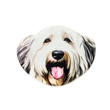 Load image into Gallery viewer, Coaster Dogs 12 Assorted 10X13CM - 618105
