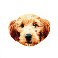 Load image into Gallery viewer, Coaster Dogs 12 Assorted 10X13CM - 618105
