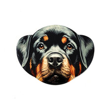 Load image into Gallery viewer, Coaster Dogs 12 Assorted 10X13CM - 618105

