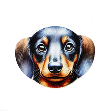 Load image into Gallery viewer, Coaster Dogs 12 Assorted 10X13CM - 618105
