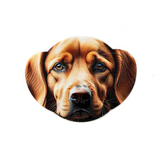 Load image into Gallery viewer, Coaster Dogs 12 Assorted 10X13CM - 618105
