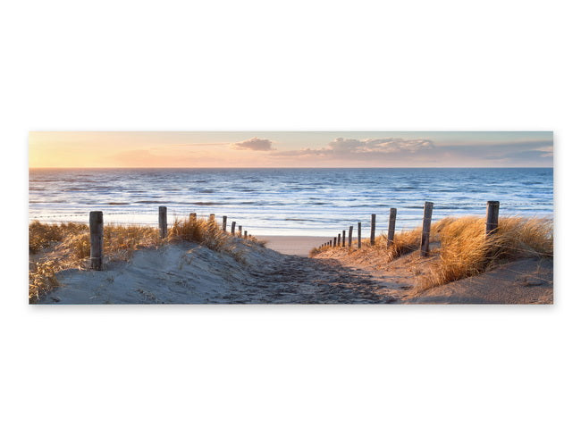 Canvas Coastal 4 Assorted - 854002-D