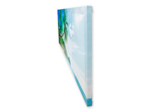 Canvas Nature 4 Assorted - 854955-A