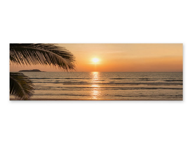 Canvas Nature 4 Assorted - 854955-B
