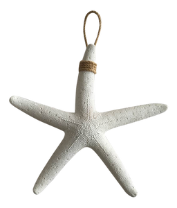 Starfish Hanging Blue/White 2 Colours - 931652