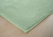 Load image into Gallery viewer, CR Rug Romal Sage 200X300CM - 985403
